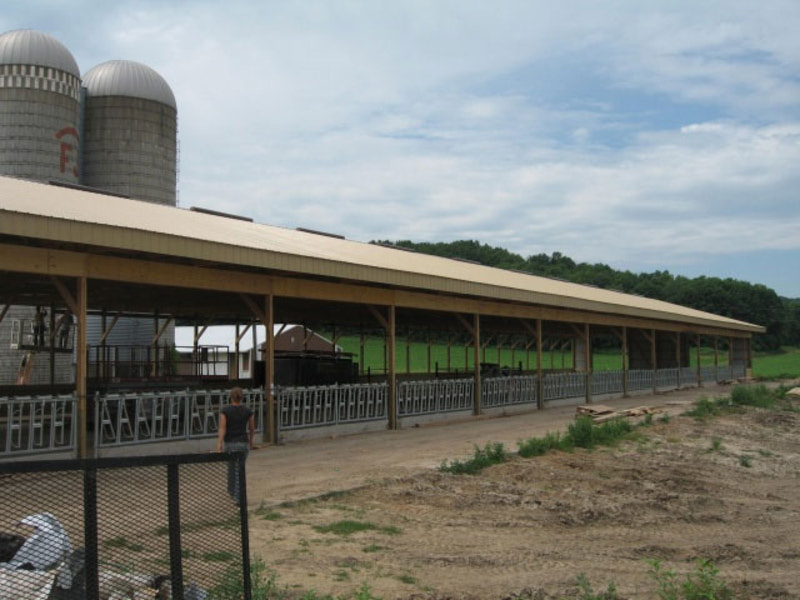 Open Livestock Shelter